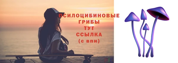 ПСИЛОЦИБИНОВЫЕ ГРИБЫ Балабаново